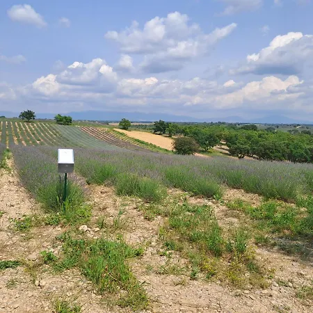 דירה Le Provencal *